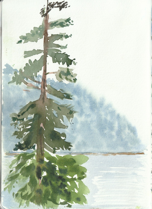 View from Cottage at Port Renfrew
